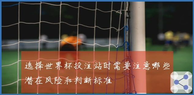 选择世界杯投注站时需要注意哪些潜在风险和判断标准