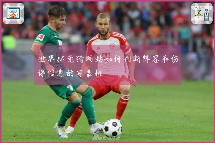 世界杯竞猜网站如何判断阵容和伤停信息的可靠性