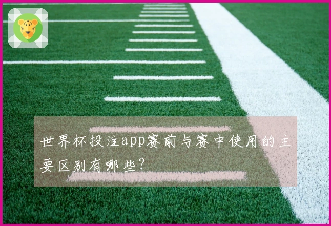 世界杯投注app赛前与赛中使用的主要区别有哪些？